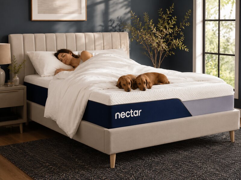 Nectar Original all-foam mattress with navy blue sides and quilted white top